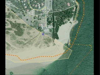 No data : API services oriented 