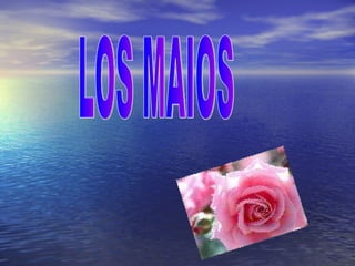   LOS MAIOS 