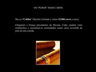 OS “PUROS” MAIS CAROS:



São os “Cohiba” Edición Limitada e valem 15.000 euros a caixa.
       “Cohiba

Chegaram a França procedentes de Havana, Cuba, medem vinte
centímetros e encontram-se acomodados numa caixa revestida de
pele de raia curtida.
 