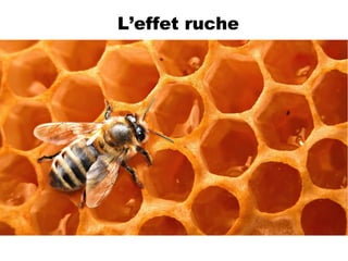 L’effet ruche
 