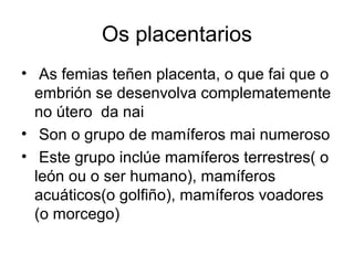 Os placentarios 
• As femias teñen placenta, o que fai que o 
embrión se desenvolva complematemente 
no útero da nai 
• Son o grupo de mamíferos mai numeroso 
• Este grupo inclúe mamíferos terrestres( o 
león ou o ser humano), mamíferos 
acuáticos(o golfiño), mamíferos voadores 
(o morcego) 
 