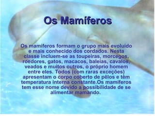 Os Mamíferos   Os mamíferos formam o grupo mais evoluído e mais conhecido dos cordados. Nesta classe incluem-se as toupeiras, morcegos, roedores, gatos, macacos, baleias, cavalos, veados e muitos outros, o próprio homem entre eles. Todos (com raras exceções) apresentam o corpo coberto de pêlos e têm temperatura interna constante.Os mamíferos tem esse nome devido a possibilidade de se alimentar mamando.  