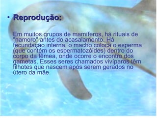 Reprodução: Em muitos grupos de mamíferos, há rituais de "namoro" antes do acasalamento. Há fecundação interna, o macho coloca o esperma (que contém os espermatozóides) dentro do corpo da fêmea, onde ocorre o encontro dos gametas. Esses seres chamados vivíparos têm filhotes que nascem após serem gerados no útero da mãe.  