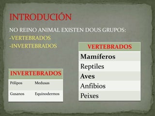 NO REINO ANIMAL EXISTEN DOUS GRUPOS:
-VERTEBRADOS
-INVERTEBRADOS           VERTEBRADOS
                         Mamíferos
                         Reptiles
INVERTEBRADOS
                         Aves
Pólipos   Medusas
                         Anfibios
Gusanos   Equinodermos
                         Peixes
 