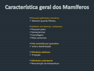  Possuem glândulas mamárias
 Mamam quando filhotes.
 Habitam em diversos ambientes
Possuem pelos
Homeotermos
Camuflagem
Pelos sensoriais
 Pele revestida por queratina
 evita a desidratação
 Glândulas sebáceas
 Proteção
 Glândulas sudoríparas
Manutenção da temperatura
 