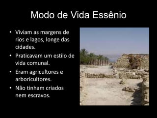 Modo de Vida Essênio
• Viviam as margens de
rios e lagos, longe das
cidades.
• Praticavam um estilo de
vida comunal.
• Eram agricultores e
arboricultores.
• Não tinham criados
nem escravos.
 