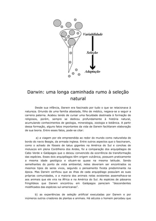 Darwin: uma longa caminhada rumo à seleção
                                          natural
        Desde sua infância, Darwin era fascinado por tudo o que se relacionava à
natureza. Oriundo de uma família abastada, filho de médico, negava-se a seguir a
carreira paterna. Acabou tendo de cursar uma faculdade destinada à formação de
religiosos,    porém,    sempre     se    dedicou    profundamente    à   história       natural,
acumulando conhecimentos de geologia, mineralogia, zoologia e botânica. A partir
dessa formação, alguns fatos importantes da vida de Darwin facilitaram elaboração
de sua teoria. Entre esses fatos, pode-se citar:


         a) a viagem por ele empreendida ao redor do mundo como naturalista de
bordo do navio Beagle, da armada inglesa. Entre outros aspectos que o fascinaram,
como o achado de fósseis de tatus gigantes na América do Sul e conchas de
moluscos em plena Cordilheira dos Andes, foi a comparação dos arquipélagos de
Cabo Verde e Galápagos que o deixou convencido da ocorrência da transformação
das espécies. Esses dois arquipélagos têm origem vulcânica, possuem praticamente
a   mesma      idade    geológica   e    situam-se   quase   na   mesma      latitude.    Sendo
semelhantes do ponto de vista ambiental, neles deveriam ser encontrados os
mesmos tipos de seres vivos, segundo o pensamento fixista predominante na
época. Mas Darwin verificou que as ilhas de cada arquipélago possuíam as suas
próprias comunidades, e a maioria dos animais nelas existentes assemelhava-se
aos animais que ele vira na África e na América do Sul. As espécies de pássaros
fringilídeos   que     Darwin   encontrou     em     Galápagos    pareciam     “descendentes
modificados das espécies sul-americanas”.


        b) as experiências de seleção artificial executadas por Darwin e por
inúmeros outros criadores de plantas e animais. Há séculos o homem percebeu que
 