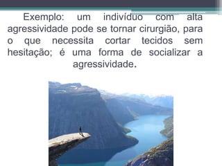 Exemplo: um indivíduo com alta 
agressividade pode se tornar cirurgião, para 
o que necessita cortar tecidos sem 
hesitação; é uma forma de socializar a 
agressividade. 
 