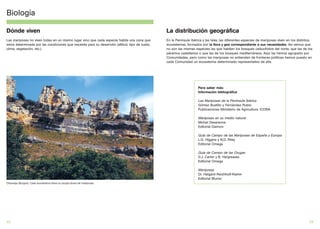 Biología

Dónde viven                                                                                      La distribución geográfica
Las mariposas no viven todas en un mismo lugar sino que cada especie habita una zona que         En la Península Ibérica y las Islas, las diferentes especies de mariposas viven en los distintos
viene determinada por las condiciones que necesita para su desarrollo (altitud, tipo de suelo,   ecosistemas, formados por la flora y gea correspondiente a sus necesidades. Así vemos que
clima, vegetación, etc.).                                                                        no son las mismas especies las que habitan los bosques caducifolios del norte, que las de los
                                                                                                 páramos castellanos o que las de los bosques mediterráneos. Aquí las hemos agrupado por
                                                                                                 Comunidades, pero como las mariposas no entienden de fronteras políticas hemos puesto en
                                                                                                 cada Comunidad un ecosistema determinado representativo de ella.




                                                                                                                     Para saber más:
                                                                                                                     Información bibliográfica

                                                                                                                     Las Mariposas de la Península Ibérica
                                                                                                                     Gómez Bustillo y Fernández Rubio
                                                                                                                     Publicaciones Ministerio de Agricultura. ICONA

                                                                                                                     Mariposas en su medio natural
                                                                                                                     Michel Devarenne
                                                                                                                     Editorial Daimon

                                                                                                                     Guía de Campo de las Mariposas de España y Europa
                                                                                                                     L.G. Higgins y N.D. Riley
                                                                                                                     Editorial Omega

                                                                                                                     Guía de Campo de las Orugas
                                                                                                                     D.J. Carter y B. Hargreaves
                                                                                                                     Editorial Omega

                                                                                                                     Mariposas
                                                                                                                     Dr. Helgard Reichholf-Riehm
                                                                                                                     Editorial Blume
Orbaneja (Burgos). Cada ecosistema tiene su propia fauna de mariposas




22                                                                                                                                                                                             23
 