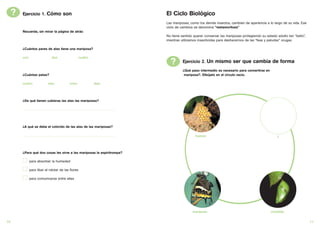 ?   Ejercicio 1. Cómo son                                                                                    El Ciclo Biológico
                                                                                                                  Las mariposas, como los demás insectos, cambian de apariencia a lo largo de su vida. Ese
                                                                                                                  ciclo de cambios se denomina “metamorfosis”
         Recuerda, sin mirar la página de atrás:
                                                                                                                  No tiene sentido querer conservar las mariposas protegiendo su estado adulto tan “bello”,
                                                                                                                  mientras utilizamos insecticidas para deshacernos de las “feas y peludas” orugas.

         ¿Cuántos pares de alas tiene una mariposa?

         uno                             dos                          cuatro
                                                                                                                    ?       Ejercicio 2. Un mismo ser que cambia de forma
                                                                                                                            ¿Qué paso intermedio es necesario para convertirse en
         ¿Cuántas patas?                                                                                                     mariposa?. Dibújalo en el círculo vacío.

         cuatro                      seis                   ocho                       diez




         ¿De qué tienen cubieras las alas las mariposas?

         ......................................................................................................




         ¿A qué se debe el colorido de las alas de las mariposas?

         ......................................................................................................                     huevos                                              ?



         ¿Para qué dos cosas les sirve a las mariposas la espiritrompa?

                para absorber la humedad

                para libar el néctar de las flores

                para comunicarse entre ellas




                                                                                                                                  mariposa                                          crisálida

10                                                                                                                                                                                                            11
 