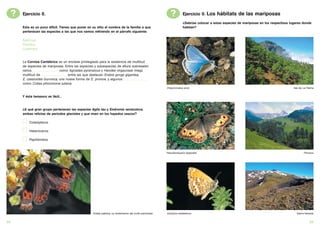 ?   Ejercicio 8.                                                                                              ?        Ejercicio 9. Los hábitats de las mariposas
                                                                                                                            ¿Sabrías colocar a estas especies de mariposas en los respectivos lugares donde
         Esta es un poco difícil. Tienes que poner en su sitio el nombre de la familia a que                                habitan?
         pertenecen las especies a las que nos vamos refiriendo en el párrafo siguiente:

         Satirinos
         Piéridos
         Licénidos


         La Cornisa Cantábrica es un enclave privilegiado para la existencia de multitud
         de especies de mariposas. Entre las especies y subespecies de altura sobresalen
         varios ........................... como Agriades pyrenaicus y Heodes virgaureae miegi,
         multitud de ........................... entre las que destacan Erebia gorge gigantea,
         E. cassioides buronica, una nueva forma de E. pronoe, y algunos ...........................
         como Colias phicomone juliana.
                                                                                                                Polyommatus eros                                                                Isla de La Palma


         Y ésta tampoco es fácil...


         ¿A qué gran grupo pertenecen las especies Aglia tau y Endromis versicolora,
         ambas relictas de periodos glaciales y que viven en los hayedos vascos?

             Coleópteros

             Heteróceros

             Papiliónidos


                                                                                                                Pseudochazara hippolyte                                                                 Pirineos




                                                           Erebia palarica, un endemismo del norte peninsular   Cyclyrius webbianus                                                               Sierra Nevada


24                                                                                                                                                                                                          25
 