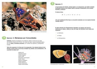 ?         Ejercicio 11
                                                                                                                          ¿A qué especie de licénido, siempre ligado a la sanguisorba, que habita contadas
                                                                                                                          localidades ibéricas como Abejar (Soria), amenaza la desecación de los prados
                                                                                                                          húmedos y turberas?

                                                                                                                          Te damos letras:

                                                                                                                                            M_C_L_N_A                          N_U_I_H_U_




                                                                                                                          ¿En qué localidad del País Vasco se encuentra localizada una rara especie llamada
                                                                                                                          Lopinga achine ?


                                                                                                                                                 .............................................................................

                                                                                                                          En Sierra Nevada vive Pseudochazara hippolyte, una especie cuya área de
                                                                                                                          distribución es atípica. ¿Sabes en qué otro lugar del hemisferio norte habita esa
                                                                                                                          mariposa?
                                                            Apatura ilia, sólo vive en el norte peninsular
                                                                                                                               en Alemania

                                                                                                                               en Rusia

     ?   Ejercicio 10. Mariposas por Comunidades                                                                               en Norteamérica

         Cataluña presenta ecosistemas muy diversos, desde el nivel del mar hasta
         las cumbres mayores del Pirineo. Las zonas de mayor riqueza lepidopterológica
         son los valles y montañas pirenaicos, con multitud de especies y subespecies
         locales.

         Tacha dos especies en la lista que no corresponden a las especies típicas de los
         Pirineos, porque viven en otro tipo de hábitat muy distinto, casi semidesértico. ¿Te
         acuerdas de cuáles son?

                                 Apatura ilia
                                 Araschnia levana
                                 Colotis evagore
                                 Aricia nicias
                                 Parnassius mnemosyne
                                 Erebia manto
                                 Danaus chrysippus
                                 Erebia gorgone
                                 Colias phicomone
                                 Pyrgus andromedae                                                           Coenonympha iphis, un satírido típico.                                                   Zygaena loti, un heterócero que vuela de día.


26                                                                                                                                                                                                                                              27
 