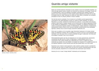 Querido amigo visitante

                                         Antes era corriente observar mariposas en casi cualquier rincón de la geografía española. Los
                                         niños del siglo pasado tuvieron ocasión de incorporar las mariposas a sus juegos. Incluso era
                                         un entretenimiento y toda una habilidad el perseguir mariposas para cogerlas, aunque la
                                         mayoría de las veces escapasen de entre nuestros dedos dejándonos el polvillo de sus alas.
                                         No pasaba nada por coger mariposas, las había por todos lados y constituían una constante
                                         pincelada de color en campos, jardines e incluso ciudades.

                                         Hoy día todo esto ha cambiado. El ser humano en su frenética carrera expansionista y
                                         consumista ha ido desarrollándose sin tener en cuenta el medio ambiente. Ha usado la
                                         Naturaleza a su antojo, cambiando la fisonomía de su entorno. Lo que antaño eran bosques,
                                         praderas, valles limpios y estepas salvajes se han transformado en lugares degradados donde
                                         la vida silvestre ha desaparecido o a duras penas se mantiene. Los espacios campestres han
                                         sufrido una alarmante regresión debido a la deforestación, cultivos extensivos, contaminación,
                                         asentamientos urbanos, abuso de los recursos naturales, transformación de las actividades
                                         agrícolas, cambios de los cursos de agua, ecoturismo destructivo, etc.

                                         Ahora que no quedan, ya no se pueden coger libremente mariposas en el campo porque
                                         existe una legislación al efecto. Pero el problema no es ése. Es que ya no hay mariposas que
                                         revoloteen y por ello ya los niños no tienen posibilidad de jugar a capturarlas. ¿Se trata pues
                                         de proteger la escasez?. Esa no es la solución.

                                         Afortunadamente parece que hay una esperanza en las nuevas generaciones, plenamente
                                         conscientes del daño que se le hace a la Naturaleza y comprometidas ahora en su
                                         conservación. Esos nuevos amantes de la Naturaleza ya no sólo no cogerán las pocas
                                         mariposas que quedan, sino que también se ocuparán de recuperar en lo posible la pureza de
                                         los espacios silvestres, la única solución para que todo pueda volver a ser como antes.

                                         Esperamos que a través de esta exposición y este cuaderno puedas conocer la variedad de
                                         mariposas que aún viven en nuestro país, así como sus curiosos comportamientos, para que
                                         una vez conocidos, despierten en tí el sentimiento de conservación que merecen.

                                         Gracias por ser un nuevo “amigo visitante” interesado por las mariposas.
Mariposa “arlequín” (Zerynthia rumina)




4                                                                                                                                          5
 