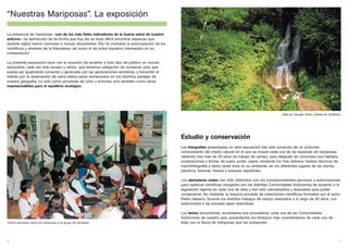 “Nuestras Mariposas”. La exposición

La presencia de mariposas –uno de los más fieles indicadores de la buena salud de nuestro
entorno– ha disminuido de tal forma que hoy día se hace difícil encontrar especies que
durante siglos fueron comunes e incluso abundantes. Ello ha motivado la preocupación de los
científicos y amantes de la Naturaleza, así como la de todos aquellos interesados en su
conservación.

La presente exposición nace con la vocación de enseñar a todo tipo de público un mundo
escondido, cada vez más escaso y relicto, que tenemos obligación de conservar para que
pueda ser igualmente conocido y apreciado por las generaciones venideras, y transmitir el
interés por la observación de estos bellos seres enmarcados en los distintos paisajes de
nuestra geografía, no sólo como pincelada de color y armonía, sino también como seres
imprescindibles para el equilibrio ecológico.




                                                                                                                                                         Valle de Caneján (Arán), hábitat de ninfálidos




                                                                                              Estudio y conservación
                                                                                              Las fotografías presentadas en esta exposición han sido producto de un profundo
                                                                                              conocimiento del medio natural en el que se mueve cada una de las especies de mariposas,
                                                                                              obtenido tras más de 30 años de trabajo de campo, para después de conocidos sus hábitats,
                                                                                              localizaciones y fechas de vuelo, poder captar mediante los más idóneos medios técnicos de
                                                                                              macrofotografía a estos seres vivos en su ambiente, en los diferentes lugares de las sierras,
                                                                                              páramos, llanuras, riberas y bosques españoles.

                                                                                              Los ejemplares reales han sido obtenidos con los correspondientes permisos y autorizaciones
                                                                                              para capturas científicas otorgados por las distintas Comunidades Autónomas de acuerdo a la
                                                                                              legislación vigente en cada una de ellas y han sido naturalizados y disecados para poder
                                                                                              conservarse. No obstante, la mayoría procede de colecciones científicas formadas por el autor,
                                                                                              Pedro Velasco, durante los distintos trabajos de campo realizados a lo largo de 30 años, con
                                                                                              anterioridad a las actuales leyes restrictivas.

                                                                                              Los textos documentan, ecosistema tras ecosistema, cada una de las Comunidades
                                                                                              Autónomas de nuestro país, presentando los biotopos más característicos de cada una de
Charla educativa sobre las mariposas a un grupo de escolares                                  ellas con la fauna de mariposas que los componen.




6                                                                                                                                                                                                    7
 