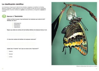 La clasificación científica
Las mariposas, al igual que el resto de los animales y vegetales se clasifican en familias,
géneros y especies. A cada especie se le dan dos nombres en latín para que se identifique
universalmente. El primer nombre es el género a que pertenece y el segundo la especie en
cuestión.




     ?    Ejercicio 3. Taxonomía
          ¿Cómo se llama el grupo al que pertenecen las mariposas que vuelan de dia?
          Señálalo con una X

                             1   -   Apterigógenos
                             2   -   Ropalóceros
                             3   -   Neurópteros
                             4   -   Heteróceros

          Seguro que sabes los nombres de tres familias distintas de mariposas diurnas. A ver:

          ......................................................................................................
          ......................................................................................................
          ......................................................................................................


          ¿Y otros dos nombres de familias de mariposas nocturnas?

          ......................................................................................................
          ......................................................................................................
          ......................................................................................................


          ¿Quién fue el “inventor” de lo que se conoce como “taxonomía”?

                 Newton

                 Mendel

                 Linneo




                                                                                                                   Mariposa (charaxes jasius) recién salida de su crisálida


12                                                                                                                                                                      13
 
