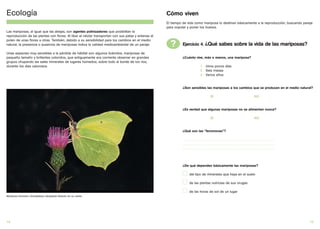 Ecología                                                                                            Cómo viven
                                                                                                    El tiempo de vida como mariposa lo destinan básicamente a la reproducción, buscando pareja
                                                                                                    para copular y poner los huevos.
Las mariposas, al igual que las abejas, son agentes polinizadores que posibilitan la
reproducción de las plantas con flores. Al libar el néctar transportan con sus patas y antenas el
polen de unas flores a otras. También, debido a su sensibilidad para los cambios en el medio
natural, la presencia o ausencia de mariposas indica la calidad medioambiental de un paraje.          ?      Ejercicio 4. ¿Qué sabes sobre la vida de las mariposas?
Unas especies muy sensibles a la pérdida de hábitat son algunos licénidos, mariposas de
pequeño tamaño y brillantes coloridos, que antiguamente era corriente observar en grandes                    ¿Cuánto vive, más o menos, una mariposa?
grupos chupando las sales minerales de lugares húmedos, sobre todo al borde de los ríos,
durante los dias calurosos.                                                                                                     1 - Unos pocos días
                                                                                                                                2 - Seis meses
                                                                                                                                3 - Varios años


                                                                                                             ¿Son sensibles las mariposas a los cambios que se producen en el medio natural?

                                                                                                                                           SÍ                                               NO


                                                                                                             ¿Es verdad que algunas mariposas no se alimentan nunca?

                                                                                                                                           SÍ                                               NO


                                                                                                             ¿Qué son las “feromonas”?

                                                                                                             ......................................................................................................
                                                                                                             ......................................................................................................
                                                                                                             ......................................................................................................




                                                                                                             ¿De qué dependen básicamente las mariposas?

                                                                                                                    del tipo de minerales que haya en el suelo

                                                                                                                    de las plantas nutricias de sus orugas

                                                                                                                    de las horas de sol de un lugar
Mariposa limonera (Gonepteryx cleopatra) libando en un cardo




14                                                                                                                                                                                                                    15
 