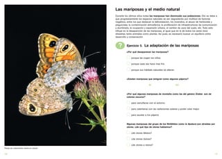 Las mariposas y el medio natural
                                       Durante los últimos años todas las mariposas han disminuído sus poblaciones. Ello se debe a
                                       que progresivamente los espacios naturales se van degradando por multitud de factores
                                       negativos, entre los que destacan la deforestación, los incendios, el abuso de herbicidas y
                                       plaguicidas, la contaminación atmosférica, la proliferación de infraestructuras de comunicación
                                       y alumbrado, la ocupación y expansión urbana, el cambio de usos del suelo, etc. Todo esto
                                       influye en la desaparición de las mariposas, al igual que en la de todos los seres vivos
                                       silvestres, tanto animales como plantas. Así pues, es necesario buscar un equilibrio entre
                                       desarrollo y conservación.



                                         ?       Ejercicio 5. La adaptación de las mariposas
                                                 ¿Por qué desaparecen las mariposas?

                                                     porque las cogen los niños

                                                     porque cada vez hace mas frío

                                                     porque sus hábitats naturales se alteran


                                                 ¿Existen mariposas que emigran como algunos pájaros?

                                                                      SÍ                        NO


                                                 ¿Por qué algunas mariposas de montaña como las del género Erebia son de
                                                 colores oscuros?

                                                     para camuflarse con el entorno

                                                     para calentarse con las radiaciones solares y poder volar mejor

                                                     para asustar a los pájaros


                                                 Algunas mariposas del grupo de los Ninfálidos como la Apatura son atraídas por
                                                 olores. ¿de qué tipo de olores hablamos?

                                                     ¿de olores fétidos?

                                                     ¿de olores dulces?

                                                     ¿de olores a resina?
Pareja de Lasiommata maera en cópula


16                                                                                                                                 17
 
