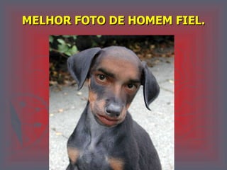 MELHOR FOTO DE HOMEM FIEL. 