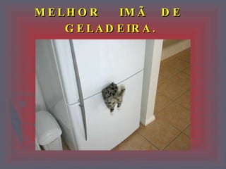 MELHOR   IMÃ  DE  GELADEIRA.   