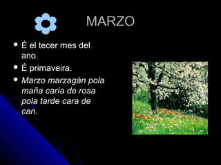 MARZO
É  el tecer mes del
  ano.
 É primaveira.
 Marzo marzagán pola
  maña caría de rosa
  pola tarde cara de
  can.
 