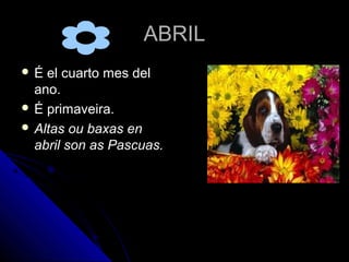 ABRIL
É  el cuarto mes del
  ano.
 É primaveira.
 Altas ou baxas en
  abril son as Pascuas.
 