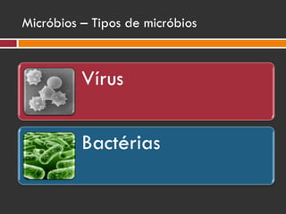 Micróbios – Tipos de micróbios 