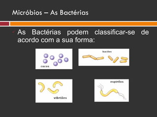 Micróbios – As Bactérias As Bactérias podem classificar-se de acordo com a sua forma: 