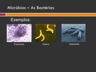 Micróbios – As Bactérias Exemplos: Pneumonia Cólera Salmonela 