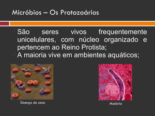 Micróbios – Os Protozoários São seres vivos frequentemente unicelulares, com núcleo organizado e pertencem ao Reino Protista; A maioria vive em ambientes aquáticos; Doença do sono Malária 