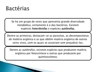 Se há um grupo de seres que apresenta grande diversidade
       metabólica, certamente é o das bactérias. Existem
          espécies heterótrofas e espécies autótrofas.

Dentre as primeiras, destacam-se as parasitas, as decompositoras
 de matéria orgânica e as que obtêm matéria orgânica de outros
    seres vivos, com os quais se associam sem prejudicá-los.

  Dentre as autótrofas, existem espécies que produzem matéria
      orgânica por fotossíntese e outras que produzem por
                         quimiossíntese.
 