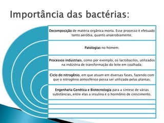Decomposição de matéria orgânica morta. Esse processo é efetuado
            tanto aeróbia, quanto anaerobiamente;


                      Patologias no homem;


Processos industriais, como por exemplo, os lactobacilos, utilizados
       na indústria de transformação do leite em coalhada;


Ciclo do nitrogênio, em que atuam em diversas fases, fazendo com
  que o nitrogênio atmosférico possa ser utilizado pelas plantas;


   Engenharia Genética e Biotecnologia para a síntese de várias
  substâncias, entre elas a insulina e o hormônio de crescimento.
 