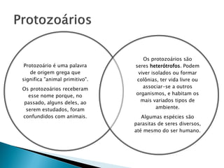 Os protozoários são
 Protozoário é uma palavra      seres heterótrofos. Podem
    de origem grega que          viver isolados ou formar
significa "animal primitivo".    colônias, ter vida livre ou
Os protozoários receberam          associar-se a outros
  esse nome porque, no          organismos, e habitam os
passado, alguns deles, ao         mais variados tipos de
 serem estudados, foram                  ambiente.
confundidos com animais.           Algumas espécies são
                                parasitas de seres diversos,
                                até mesmo do ser humano.
 