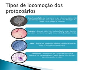 Sarcodíneos ou Rizópodes- são protozoários que se locomovem estendendo
  pseudópodes, expansões em sua célula que atuam como "falsos pés". As
                 amebas são um exemplo de sarcodíneo.




Flagelados - são os que "nadam" com auxílio de flagelos (longos filamentos
que vibram e permitem a locomoção). Um exemplo de flagelado é a giardia.




 Ciliados - são seres que utilizam cílios (pequenos filamentos ao longo do
                 corpo) na locomoção, como o paramécio.




     Esporozoários- são protozoários que não possuem estruturas de
 locomoção. Eles são todos parasitas e causam doenças. Entre eles está o
                    plasmódio, causador da malária.
 
