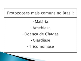 Protozooses mais comuns no Brasil:

            •Malária
           •Amebíase
       •Doença de Chagas
           •Giardíase
         •Tricomoníase
 