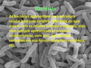 Bactérias
• As bactérias apresentam uma estrutura
celular bastante simples. Diferente do que
ocorre com as células animais e vegetais, elas
nem sempre apresentam as mesmas
características, com isso, apresentam
variações em sua forma, tamanho, virulência,
etc.
 