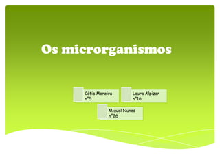 Os microrganismos
Cátia Moreira
nº5
Laura Alpizar
nº16
Miguel Nunes
nº26
 