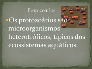Os protozoários são
microorganismos
heterotróficos, típicos dos
ecossistemas aquáticos.
 