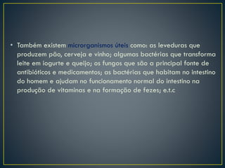 • Também existem microrganismos úteis como: as leveduras que
produzem pão, cerveja e vinho; algumas bactérias que transforma
leite em iogurte e queijo; os fungos que são a principal fonte de
antibióticos e medicamentos; as bactérias que habitam no intestino
do homem e ajudam no funcionamento normal do intestino na
produção de vitaminas e na formação de fezes; e.t.c
 