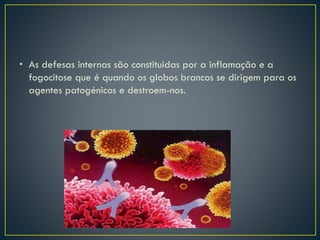 • As defesas internas são constituidas por a inflamação e a
fogocitose que é quando os globos brancos se dirigem para os
agentes patogénicos e destroem-nos.
 