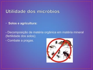 • Solos e agricultura:
- Decomposição de matéria orgânica em matéria mineral
(fertilidade dos solos);
- Combate a pragas.
 