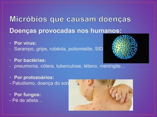 Doenças provocadas nos humanos:
• Por vírus:
- Sarampo, gripe, rubéola, poliomielite, SIDA...
• Por bactérias:
- pneumonia, cólera, tuberculose, tétano, meningite…
• Por protozoários:
- Paludismo, doença do sono...
• Por fungos:
- Pé de atleta…
 