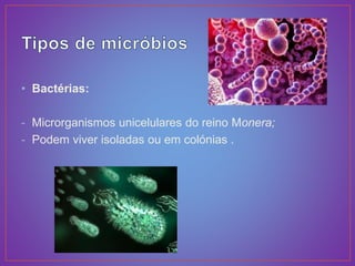 • Bactérias:
- Microrganismos unicelulares do reino Monera;
- Podem viver isoladas ou em colónias .
 