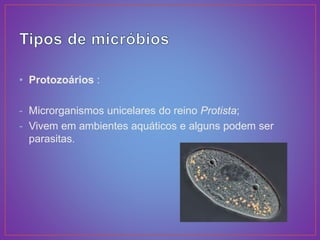• Protozoários :
- Microrganismos unicelares do reino Protista;
- Vivem em ambientes aquáticos e alguns podem ser
parasitas.
 