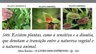 589. Existem plantas, como a sensitiva e a dionéia,
que denotam a transição entre a natureza vegetal e
a natureza animal.
 Allan Kardec - O LIVRO DOS ESPÍRITOS – Q . 589
PLANTA SENSITIVA PLANTA DIONÉIAPLANTA DIONÉIA
 