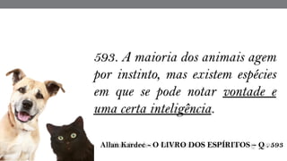 593. A maioria dos animais agem
por instinto, mas existem espécies
em que se pode notar vontade e
uma certa inteligência.
 Allan Kardec - O LIVRO DOS ESPÍRITOS – Q . 593
 