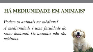 Podem os animais ser médiuns?
A mediunidade é uma faculdade do
reino hominal. Os animais não são
médiuns.
 