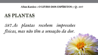  Allan Kardec - O LIVRO DOS ESPÍRITOS – Q . 587
587.As plantas recebem impressões
físicas, mas não têm a sensação da dor.
 