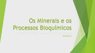 Os Minerais e os
Processos Bioquímicos
Bioquímica
 