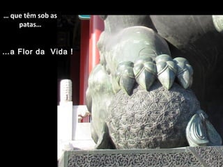 … que têm sob as
patas…
…a Flor da Vida !
 