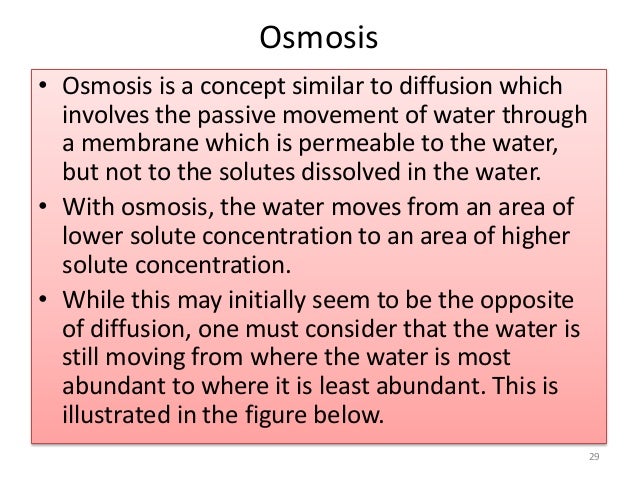 How is osmosis related to diffusion?